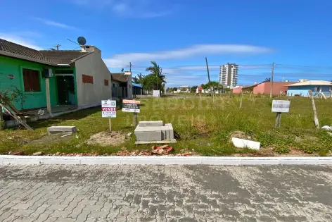 Imagem principal do Terreno 12 x 25 no Balneário Figueirinha – Espaço e Potencial para Construir com Tranquilidade