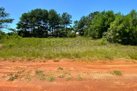 Imagem principal do Terreno no Balneário Atlântico – Excelente Lote para Construção e Investimento