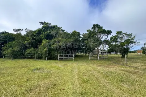 Imagem #4 do imóvel Chácara com 4.620 m² na Estância do Meio – Natureza, espaço e localização estratégica