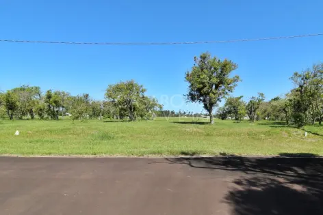 Imagem principal do Viva no Parque das Figueiras: Sua Essência em Harmonia