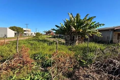 Imagem #3 do imóvel Terreno amplo com excelente posição solar no bairro São Jorge