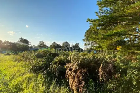 Imagem principal do Terreno Residencial em Pinus Park, Arroio do Sal