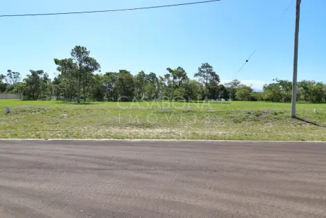 Imagem principal do Explore o Parque das Figueiras: Sua Verdadeira Essência ao Seu Alcance