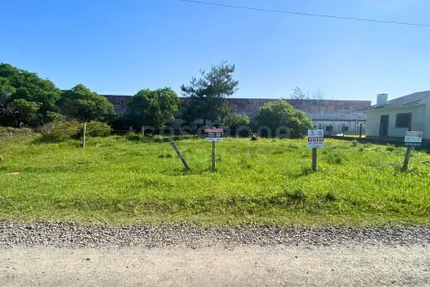 Imagem principal do Terreno 12 x 25 no Balneário Figueirinha – Iluminação Privilegiada