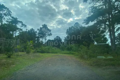 Imagem secundária do Terreno para Investimento com Alto Potencial de Valorização – Oportunidade Acessível!