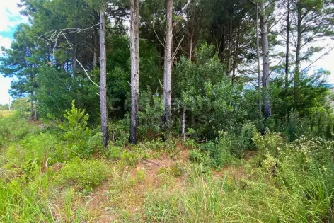 Imagem #3 do imóvel Terreno com ótima localização e posição solar privilegiada no Balneário Atlântico