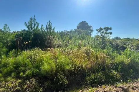Imagem #4 do imóvel Terreno no Pinus Park em Arroio do Sal: tranquilidade e valorização