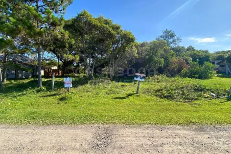 Imagem principal do Terreno no Balneário Figueirinha – Amplitude, Valorização e Excelente Iluminação