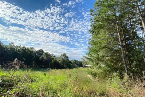 Imagem #2 do imóvel Lindo Terreno no Balneário Atlântico em Arroio do Sal