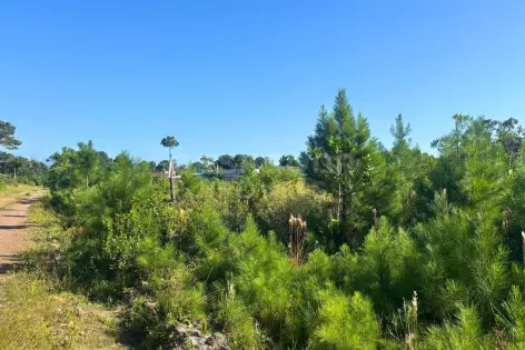 Imagem principal do Terreno no Pinus Park em Arroio do Sal: tranquilidade e valorização