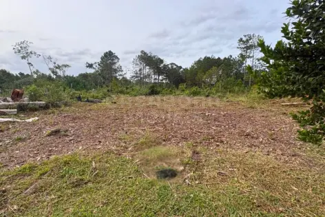 Imagem #2 do imóvel Terreno amplo e pronto para construir no Bairro Pinus Park