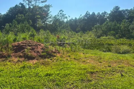 Imagem #2 do imóvel Terreno no Pinus Park em Arroio do Sal: espaço ideal para construir