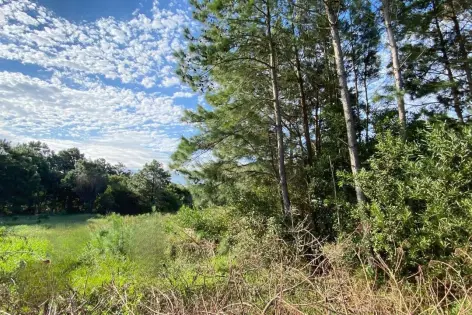 Imagem #3 do imóvel Lindo Terreno no Balneário Atlântico em Arroio do Sal