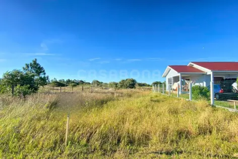 Imagem principal do Oportunidade de Terreno em Âncora, Arroio do Sal