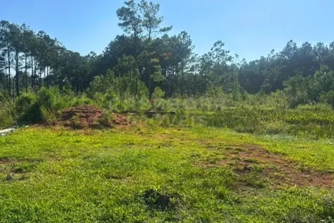 Imagem principal do Terreno no Pinus Park em Arroio do Sal: espaço ideal para construir