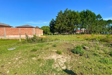 Imagem #4 do imóvel Terreno 10 x 30 no Balneário Figueirinha – Espaço e Potencial para Construir