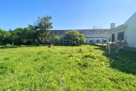 Imagem #4 do imóvel Terreno 12 x 25 no Balneário Figueirinha – Excelente Espaço para Construir