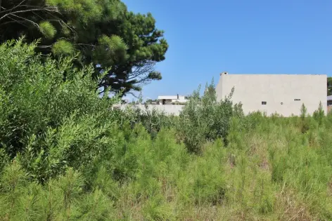 Imagem secundária do Lindo Terreno Residencial no Balneário Vista Alegre