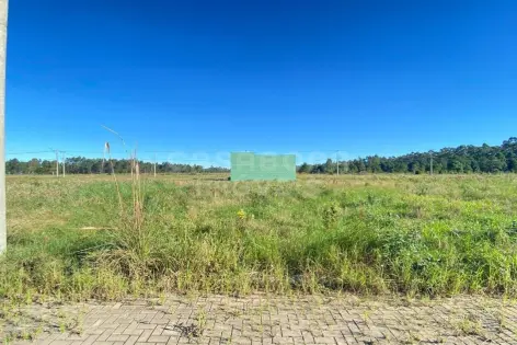 Imagem secundária do Terreno com frente norte no Loteamento Mar Del Plata