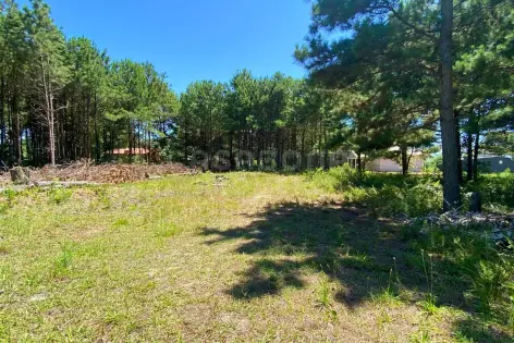 Imagem #4 do imóvel Terreno no Balneário Atlântico – Amplitude e Potencial para Construção
