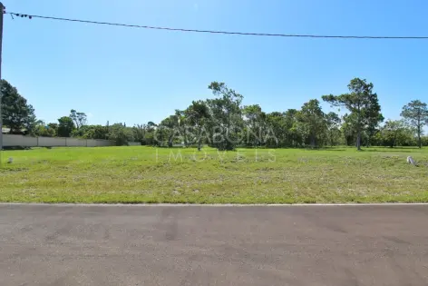 Imagem principal do Explore o Parque das Figueiras: Conexão com Sua Essência