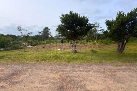 Imagem principal do Terreno amplo e pronto para construir no Bairro Pinus Park