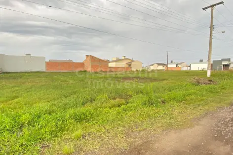 Imagem secundária do Terreno à Venda em Arroio do Sal - Bairro Rondinha Nova