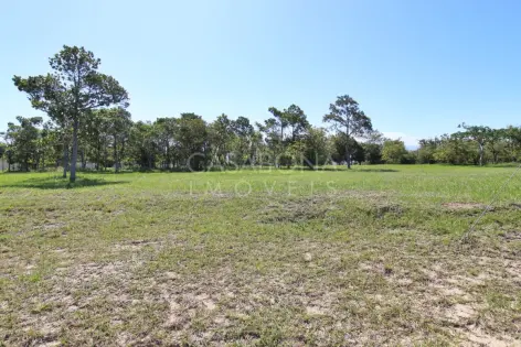 Imagem secundária do Explore o Parque das Figueiras: Sua Verdadeira Essência ao Seu Alcance