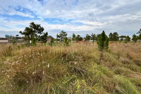 Imagem #4 do imóvel Terreno com posição solar norte a 400 metros da praia no bairro São Jorge