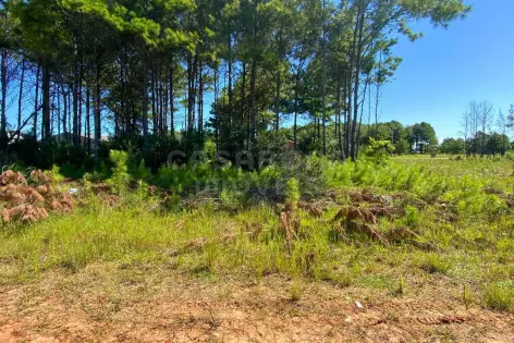 Imagem principal do Terreno com Posição Solar Norte no Balneário Atlântico