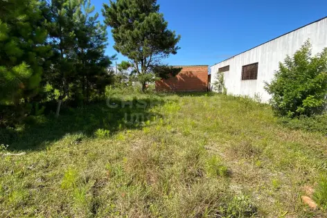 Imagem #4 do imóvel Terreno 10 x 30 no Balneário Figueirinha – Amplo, Bem Localizado e Pronto para Construir
