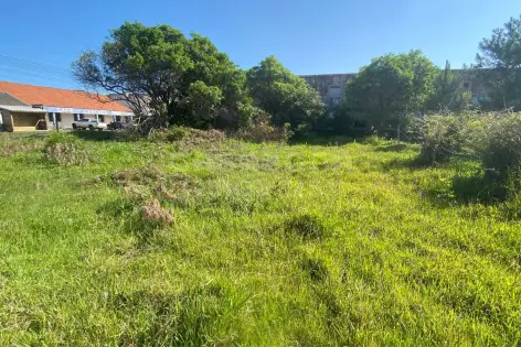 Imagem #4 do imóvel Terreno 12 x 25 no Balneário Figueirinha – Iluminação Privilegiada e Excelente Potencial de Construção