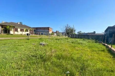 Imagem #4 do imóvel Terreno 12 x 25 no Balneário Figueirinha – Iluminação Ideal e Grande Potencial de Valorização