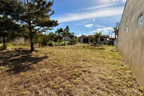 Imagem #3 do imóvel Terreno com posição solar Norte na Figueirinha