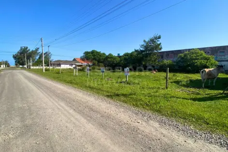 Imagem secundária do Terreno 12 x 25 no Balneário Figueirinha – Excelente Espaço para Construir