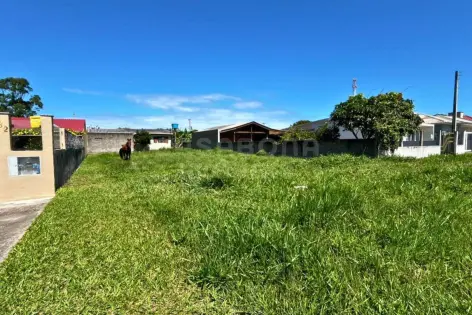 Imagem #4 do imóvel Excelente Terreno no Quatro Lagos - Pronto para Construir