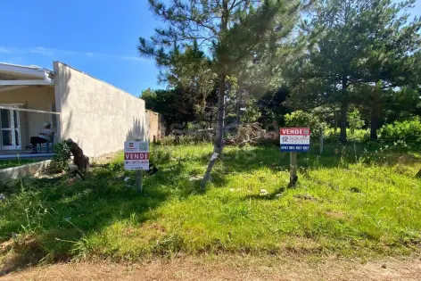 Imagem principal do Terreno 10 x 30 no Balneário Figueirinha – Iluminação Ideal e Excelente Espaço para Construir