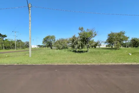 Imagem principal do Desfrute do Parque das Figueiras: Seu Refúgio de Tranquilidade