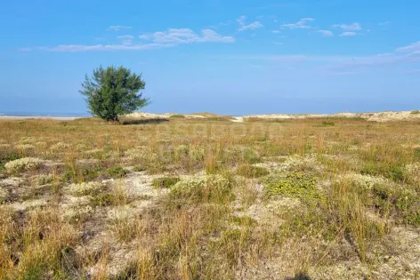 Imagem principal do Terreno com excelente localização a apenas 60 metros do mar!