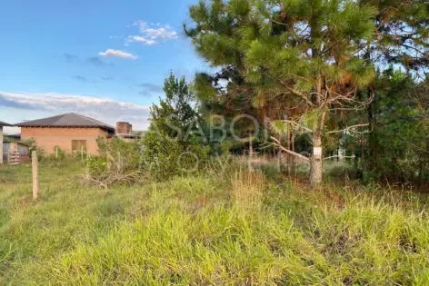 Imagem principal do Oportunidade de Investimento no Balneário Figueirinha