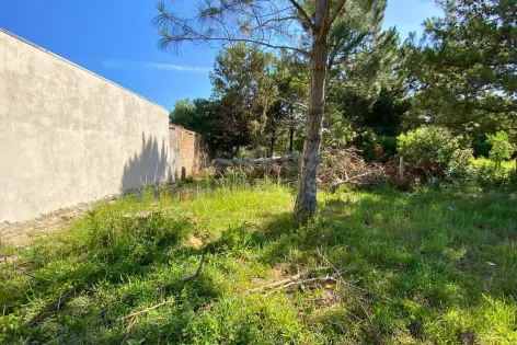 Imagem #4 do imóvel Terreno 10 x 30 no Balneário Figueirinha – Iluminação Ideal e Excelente Espaço para Construir