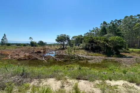 Imagem #2 do imóvel Área de terra na beira da Estrada do Mar