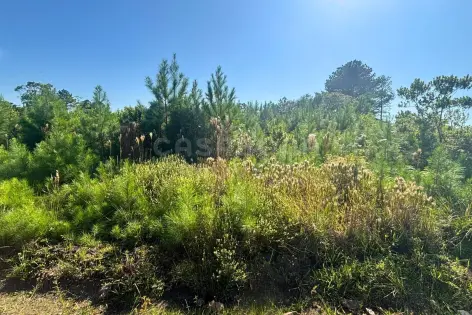 Imagem #3 do imóvel Terreno no Pinus Park em Arroio do Sal: tranquilidade e valorização