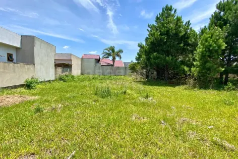 Imagem secundária do Terreno Amplo com Excelente Acesso