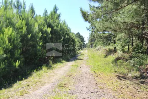 Imagem #4 do imóvel Terreno Ideal no Balneário Pinus Park
