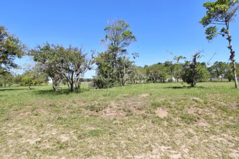 Imagem secundária do Parque das Figueiras: Sua Essência em Casa