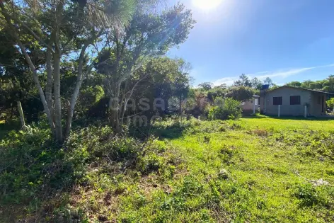 Imagem #4 do imóvel Terreno no Balneário Figueirinha – Amplitude, Valorização e Excelente Iluminação