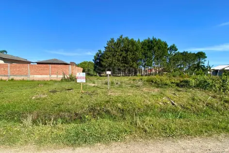 Imagem principal do Terreno 10 x 30 no Balneário Figueirinha – Espaço e Potencial para Construir