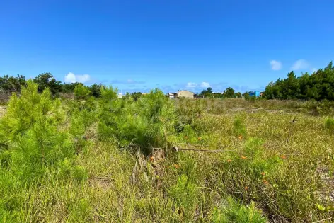 Imagem #3 do imóvel Terreno no Balneário Atlântico a 300 Metros da Praia – Localização e Potencial de Valorização