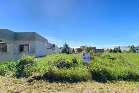 Imagem principal do Terreno Amplo em Rua Residencial - Balneário Vista Alegre